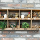 Fir Wood Wall Unit