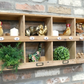 Fir Wood Wall Unit