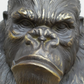 Gorilla Bust Head