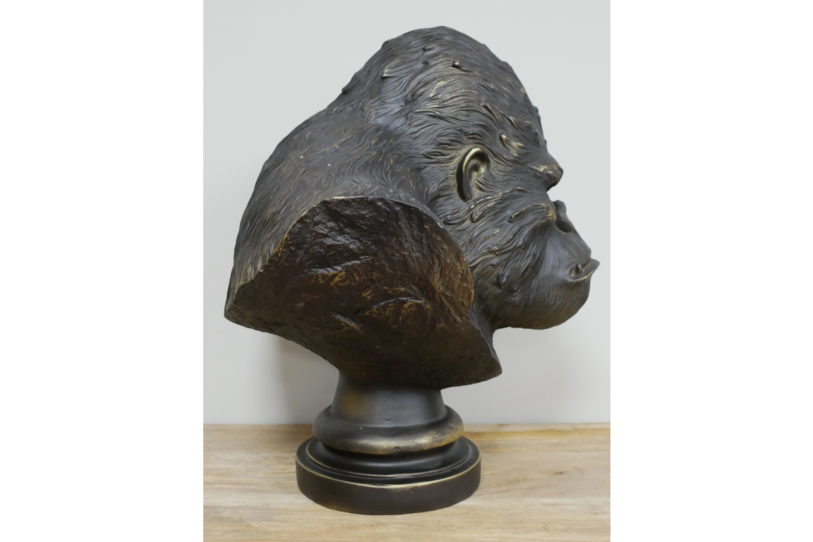 Gorilla Bust Head