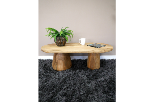 Solid Mango Wood Coffee table