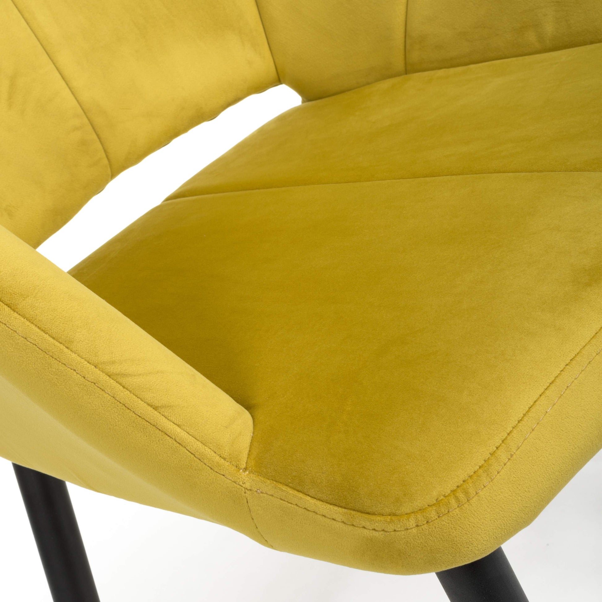 Nero Brushed Velvet Lime Gold Dining Chair