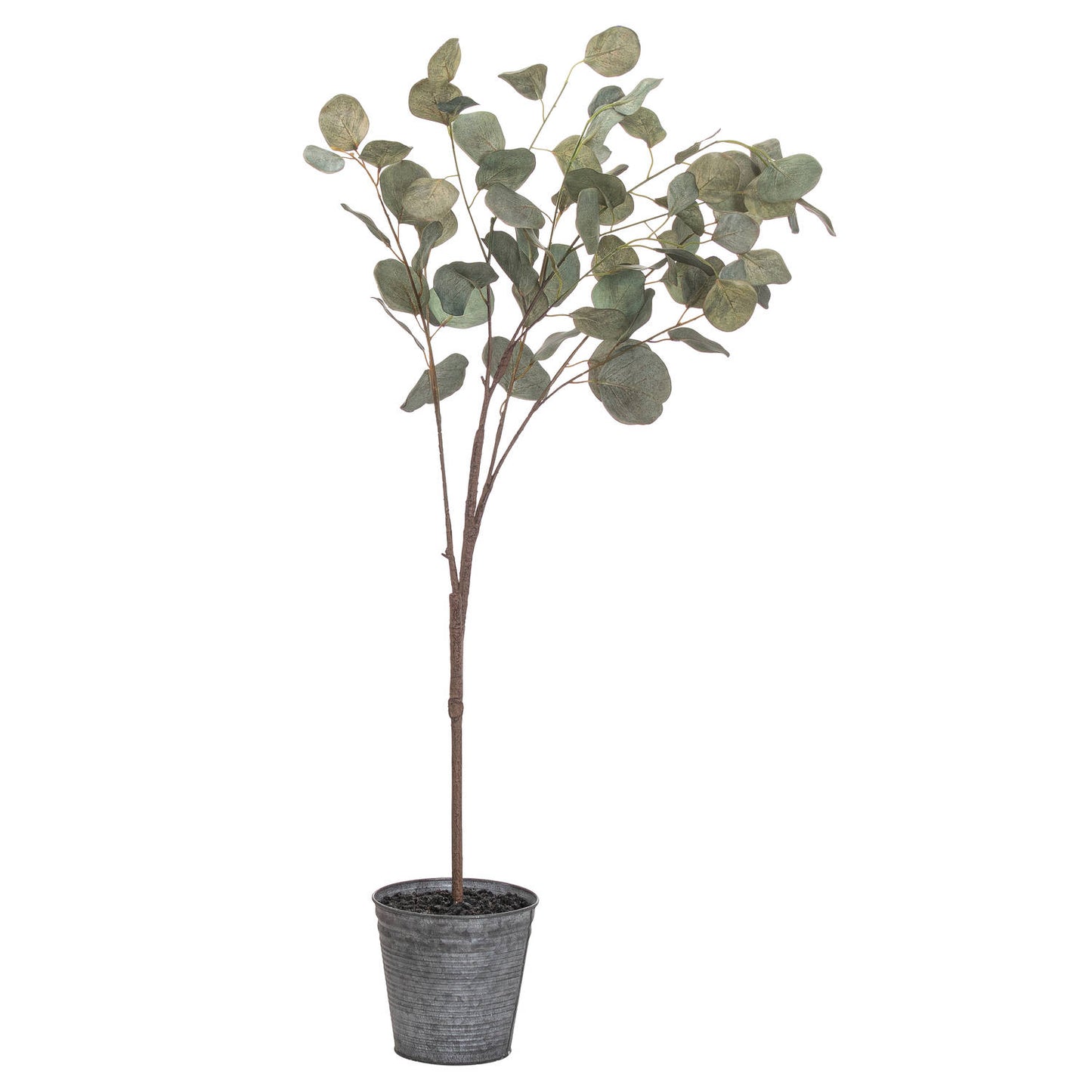 Hill Interiors Eucalyptus Tree In Metallic Pot