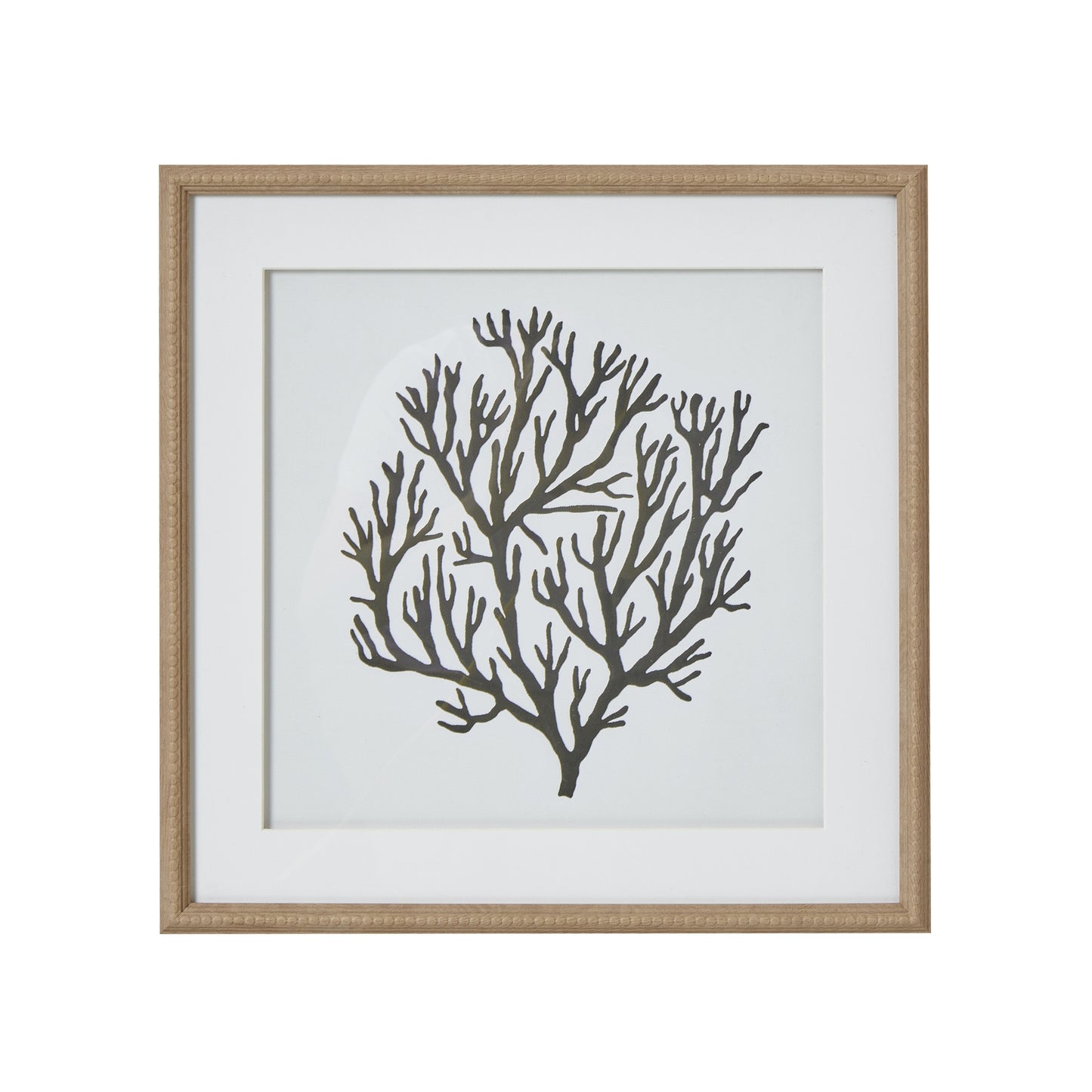 Atol Coral Art Mounted In Beaded Frame