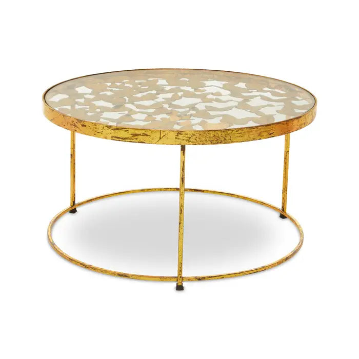 Rabia Butterfly Coffee Table by FIFTY FIVE SOUTH