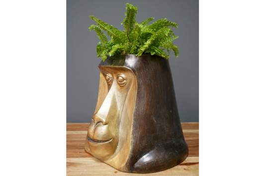 Dutch Monkey Head Pot