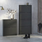 Shoes Shoe Cabinet 4 Flip Down Doors and 2 layers in Matt Black