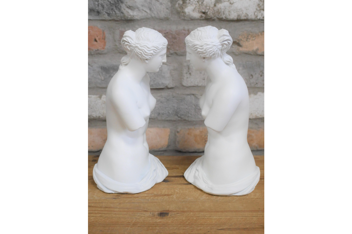 Venus Bookends