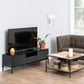 Seaford 2 Door 1 Drawer TV Unit in Ash Black