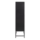 Newcastle 2 Door Cabinet in Matt Black