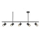 Harvey 5 Ceiling Light Black