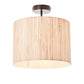 Ellaville Ceiling Light