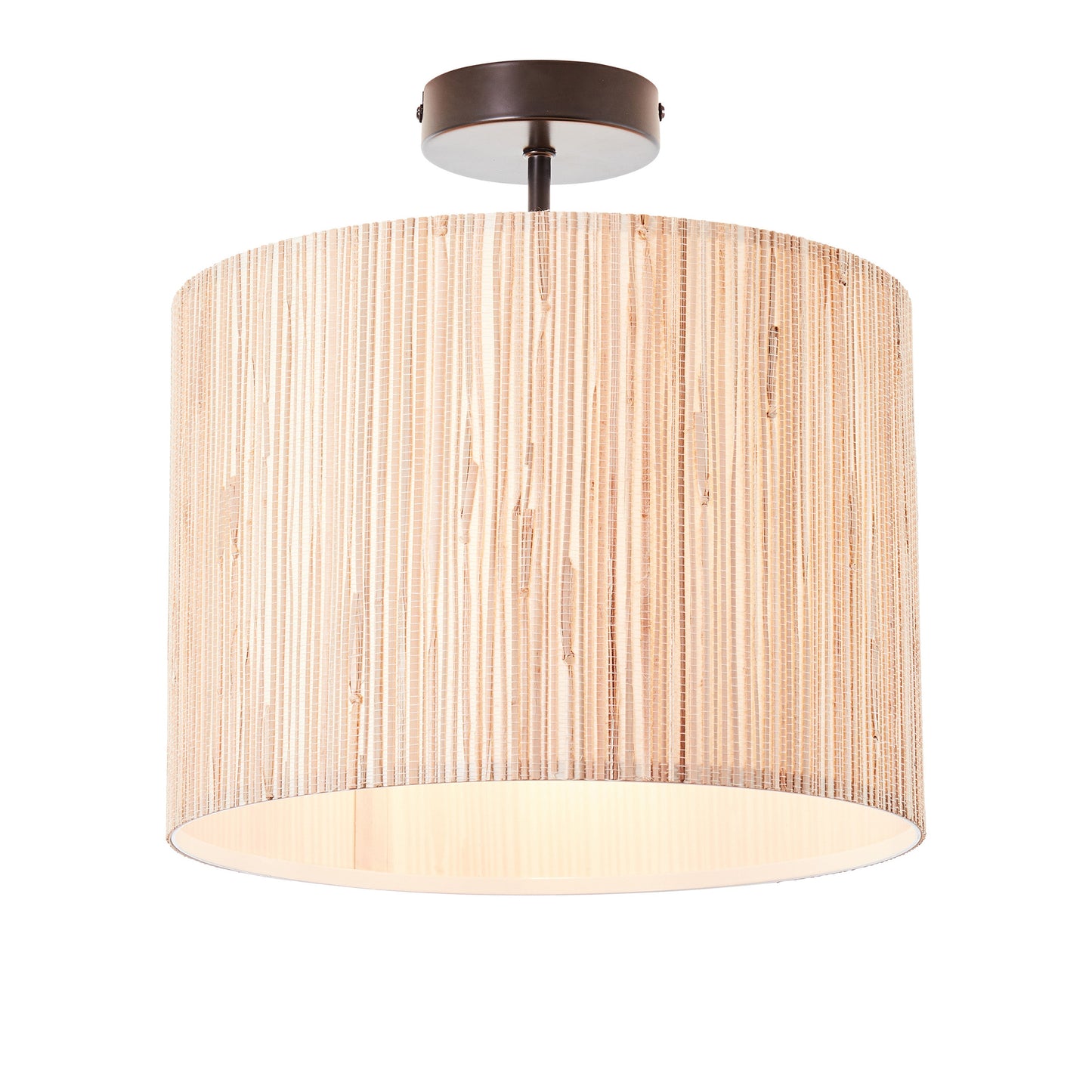 Ellaville Ceiling Light