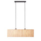 Ellaville 2 Pendant Light