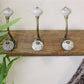 4 Double Ceramic Ivory Coat Hooks On Wooden Base - Brown/Ivory