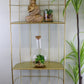 Gold Metal Wall Double Storage Shelf, Basket Design - Gold